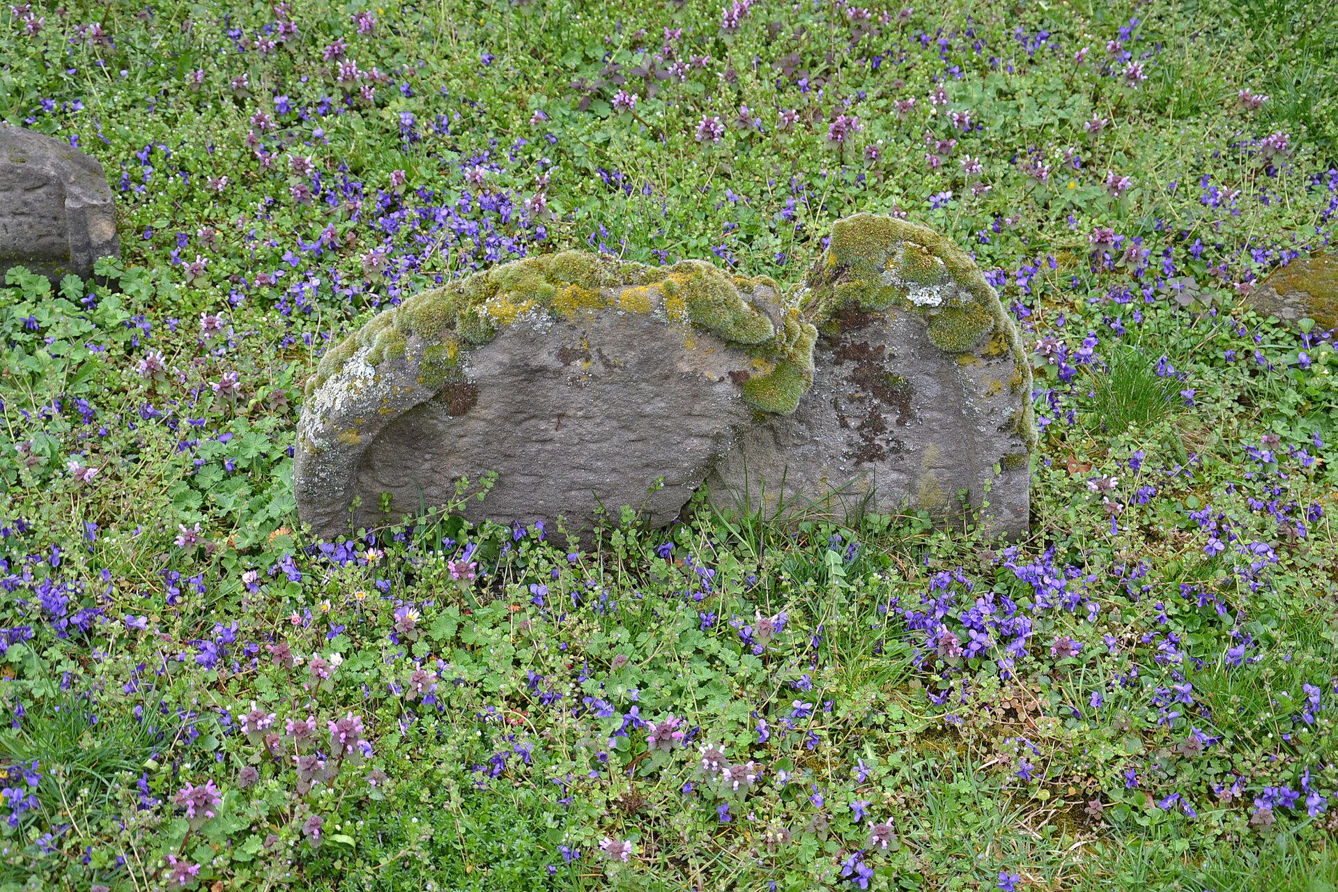 Lápide de pedra coberta de musgo em meio a grama alta e flores, sob árvores.